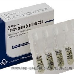 Testosterone Enanthate